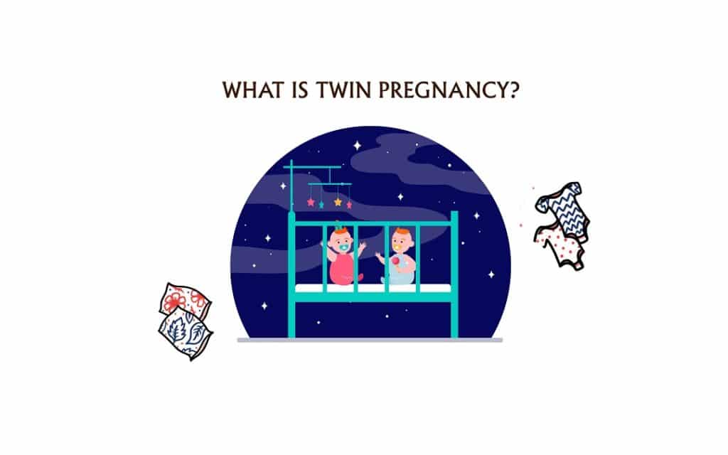 What Is Twin Pregnancy